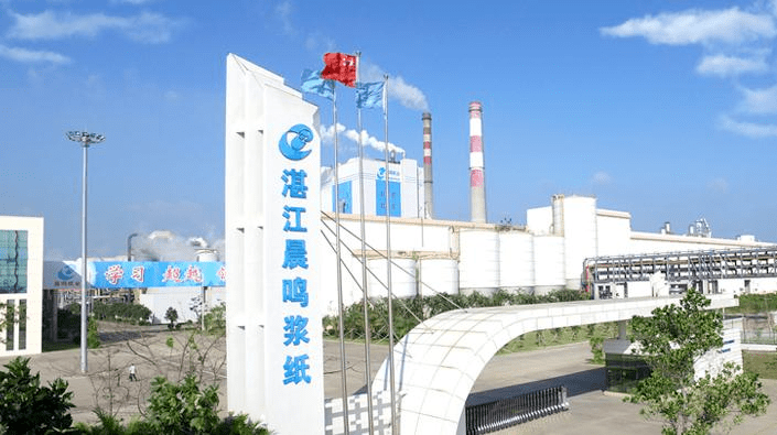 晨鸣纸业 晨鸣纸业