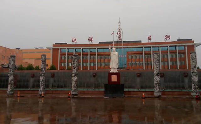 章丘丰源污水曝气罗茨风机用于瑞祥生物厂 章丘丰源污水曝气罗茨风机用于瑞祥生物厂